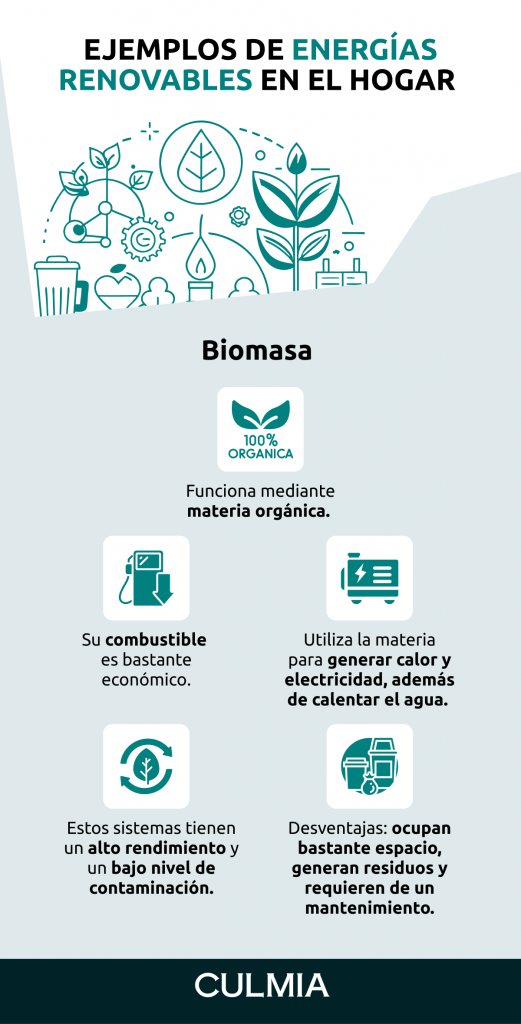 Infografía sobre biomasa